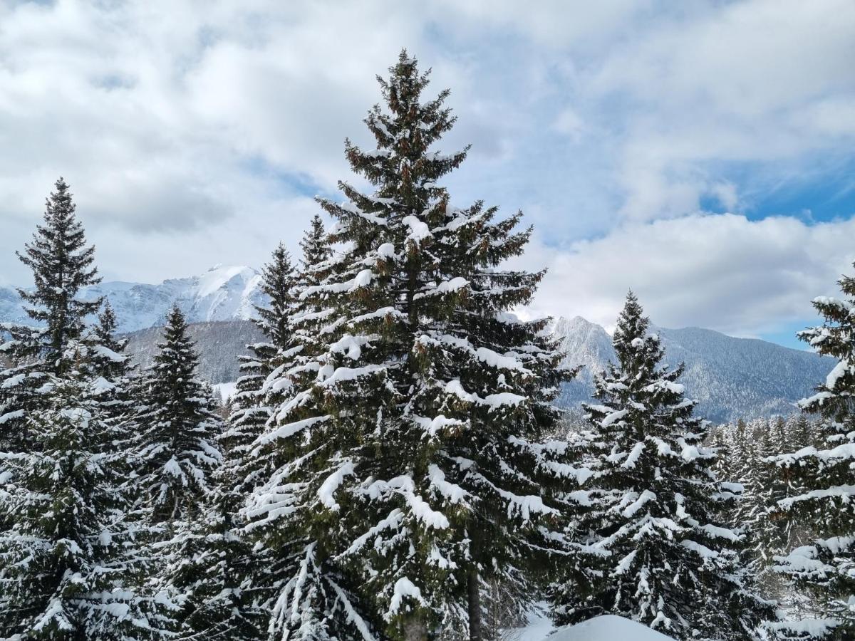 Casa Bondia Villa Pârâul Rece Buitenkant foto