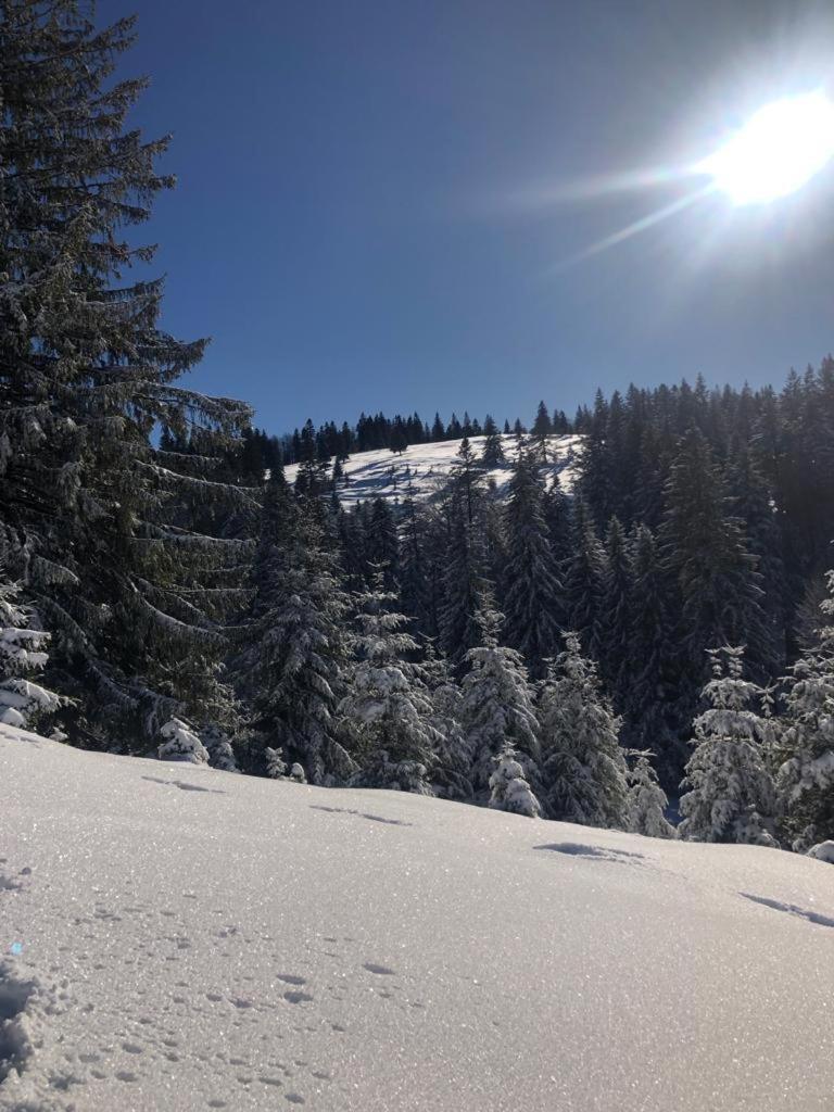 Casa Bondia Villa Pârâul Rece Buitenkant foto
